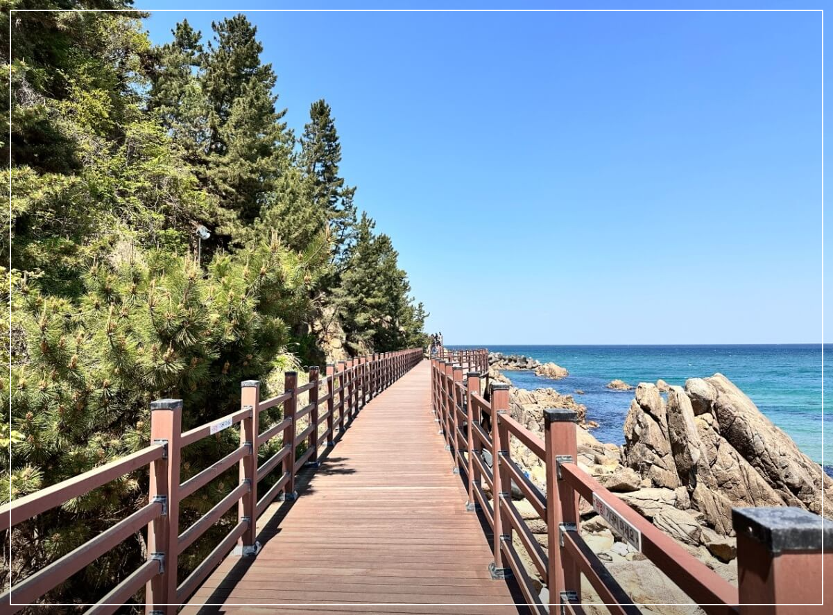 양양 가볼만한곳 베스트10 하조대 스카이워크 &amp; 전망대