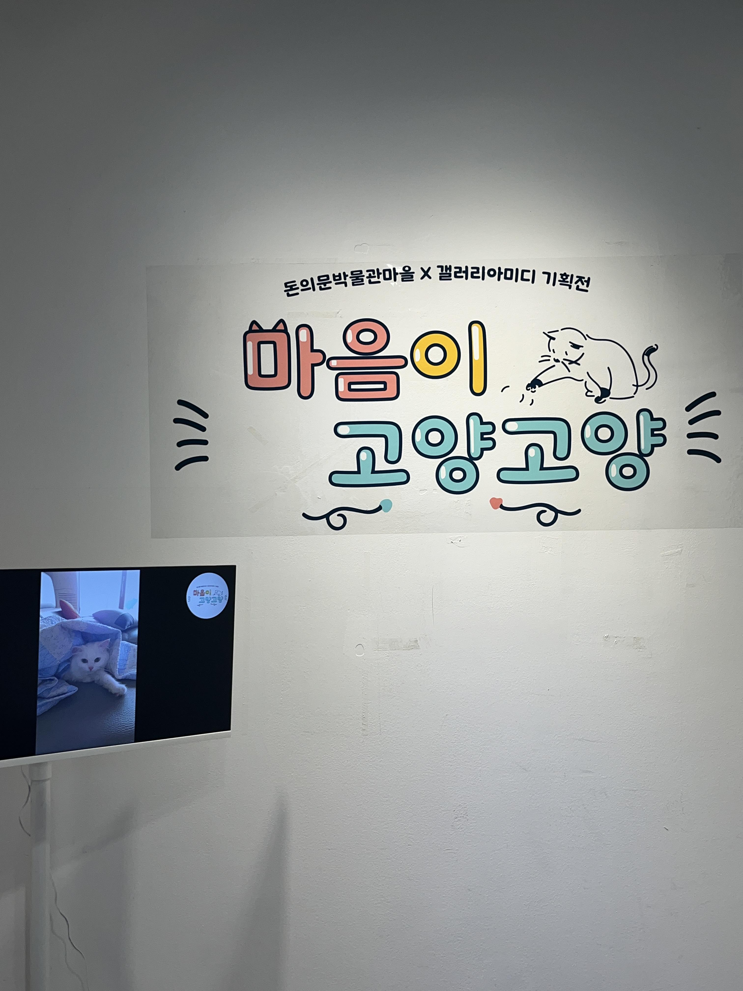 마음이 고양고양