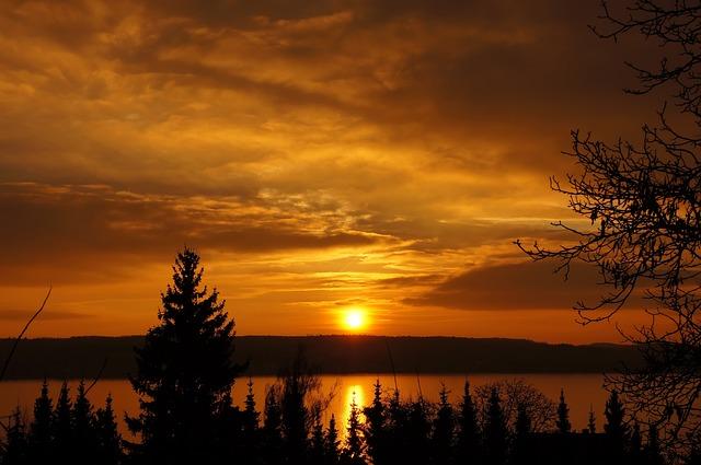 blog-image