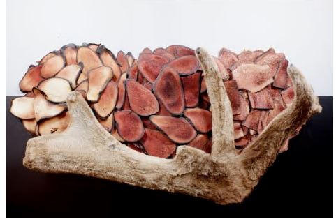 침향환-효능-효과