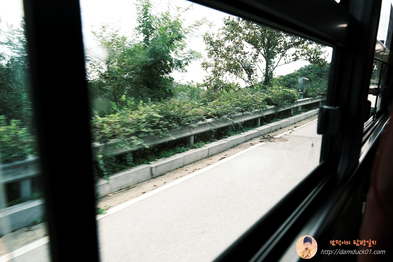 오두산통일전망대 가는 길