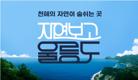 울릉도-배편
