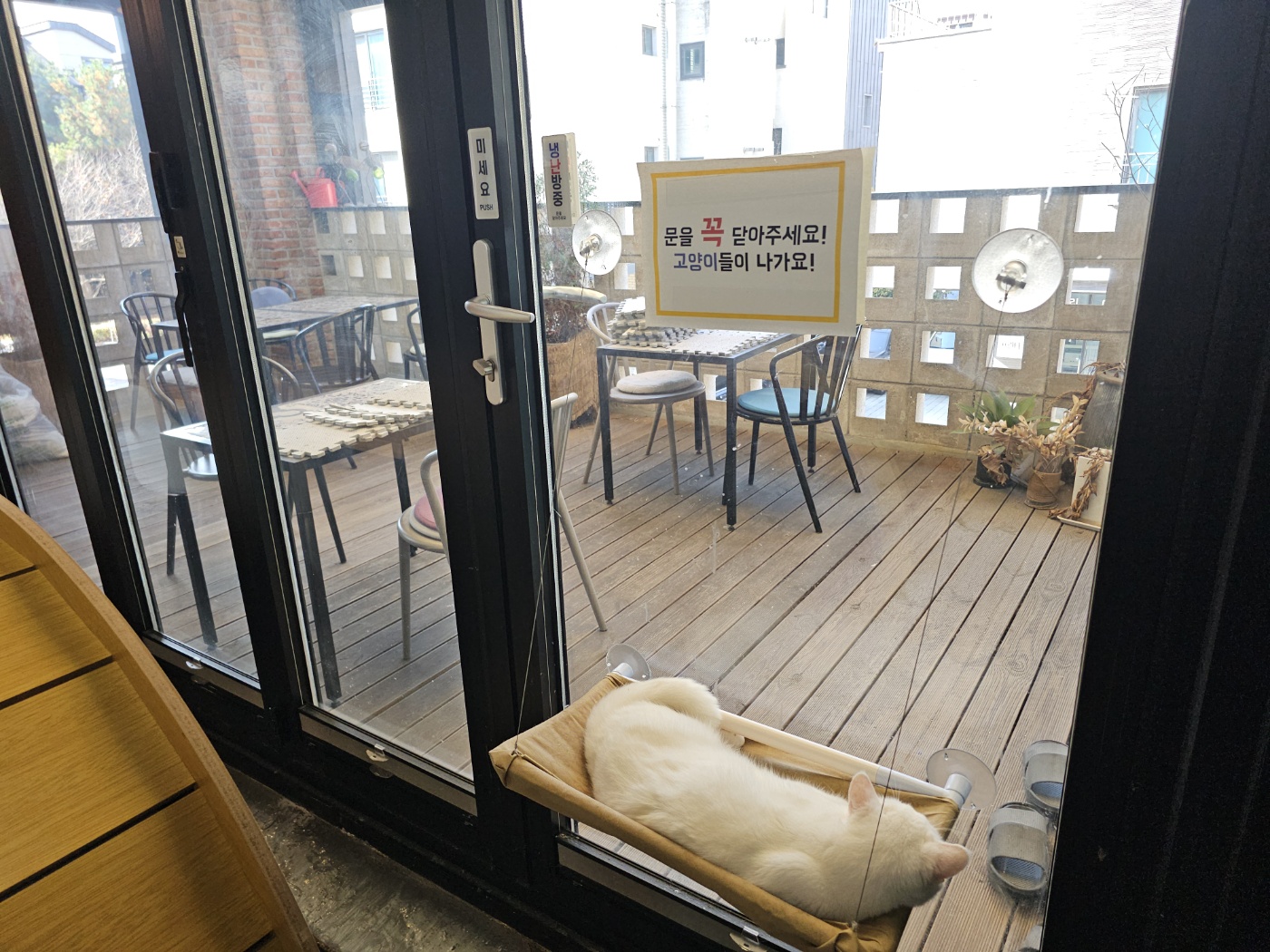 야옹이네 고양이 카페