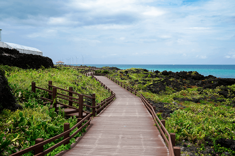 월령리-선인장자생지-한국관광공사