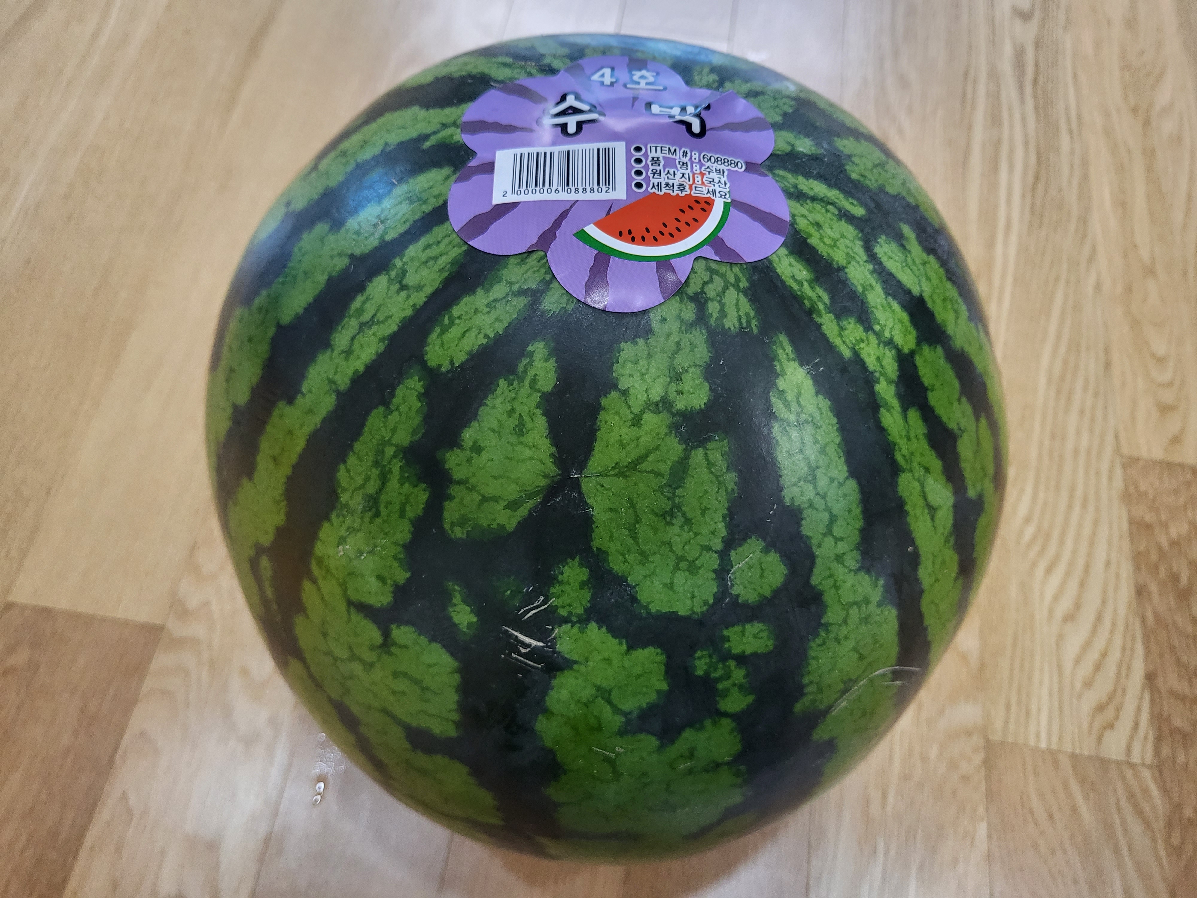 23년 7월 코스트코 - 수박