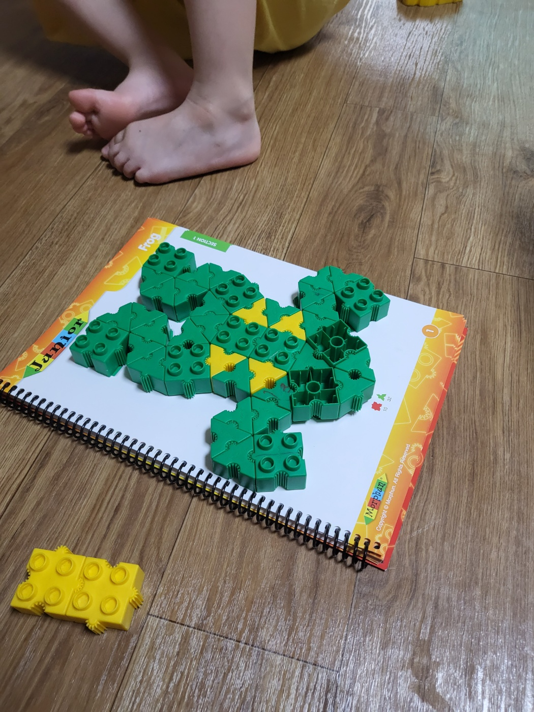 몰펀 주니어 (피카츄 만들어봐요~)