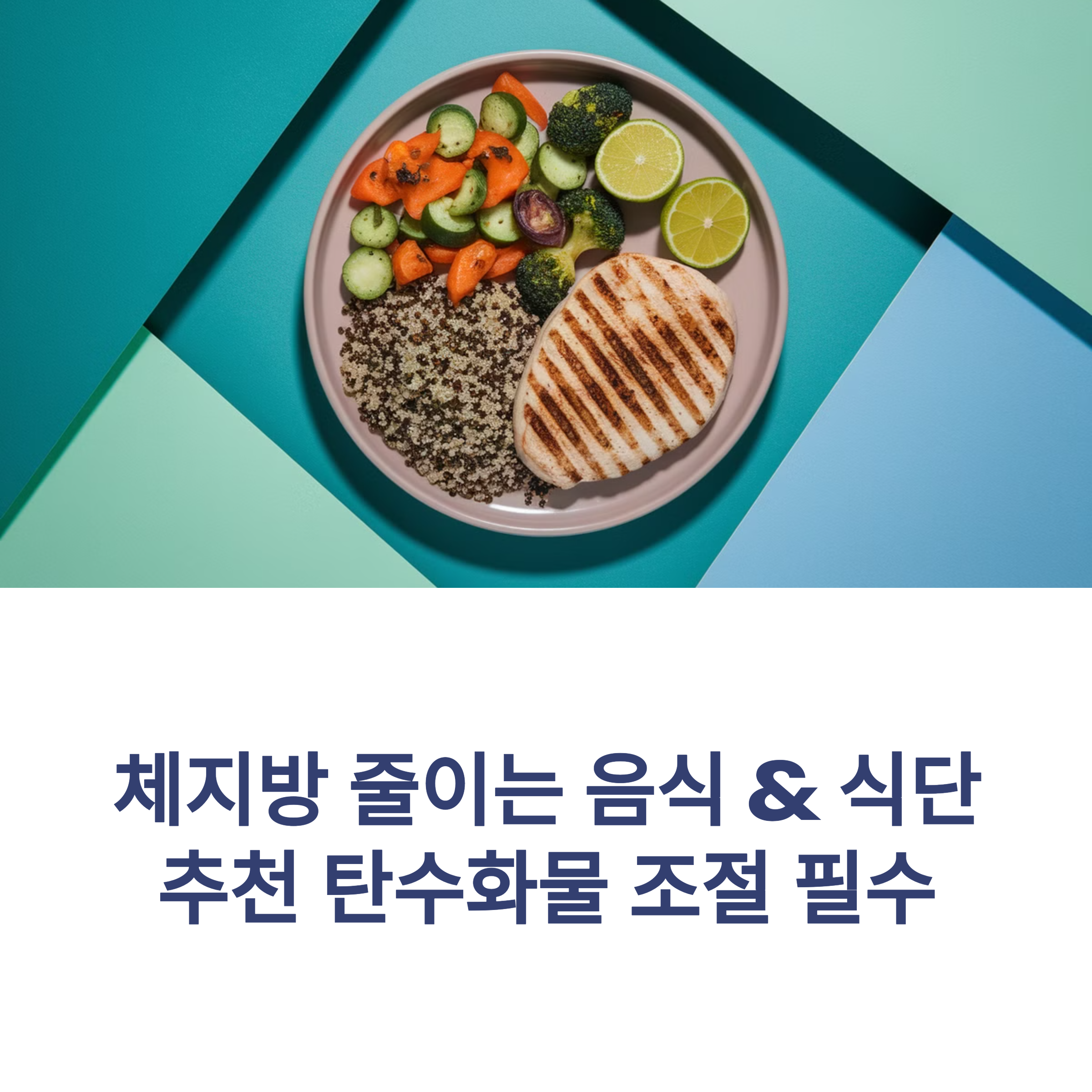 체지방 줄이는 음식 &amp; 식단 추천 탄수화물 조절 필수