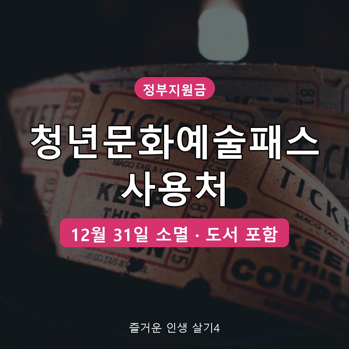 청년문화예술패스 사용처&middot;사용기한 12월 31일, 도서 한도까지 정리