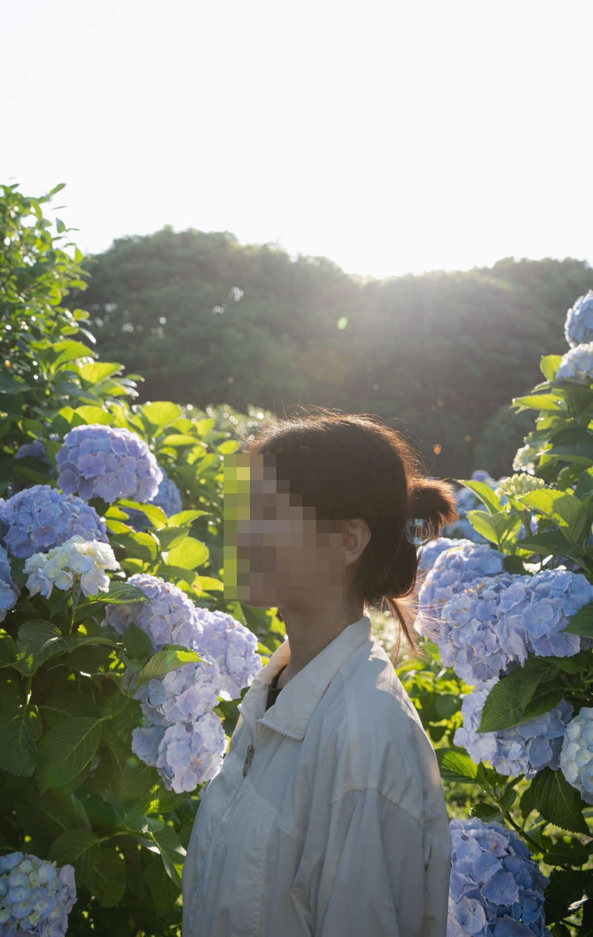 카멜리아힐 수국 포토존