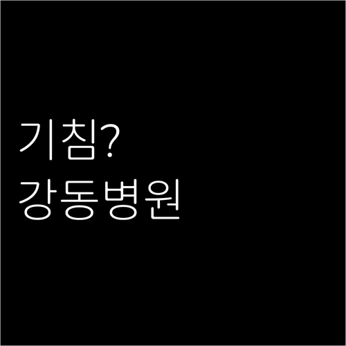 반려동물 기침 증상 시 강동구 내 병..