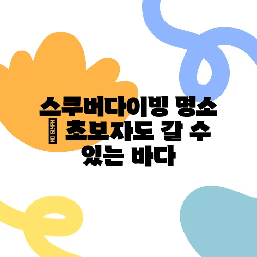 스쿠버다이빙 명소 – 초보자도 갈 수 있는 바다