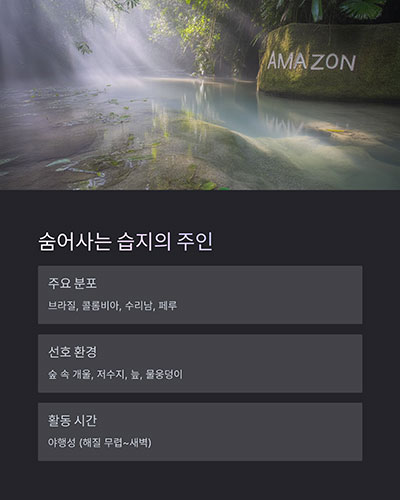 습기 많은 열대림의 작은 물가