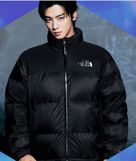 노스페이스 패딩.눕시와 롱패딩-노스페이스 출저