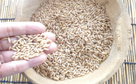 소화불량 복부팽만 원인