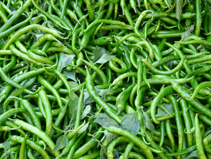 대추고추장 관련 이미지