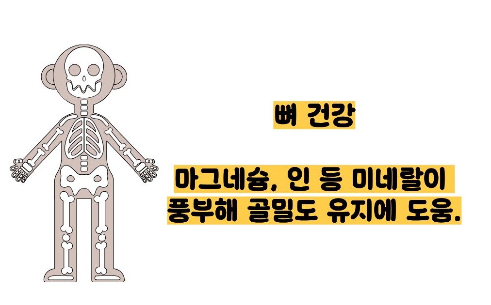 귀리 효능과 부작용