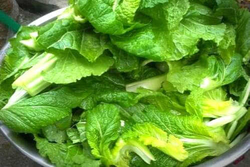 돌산갓김치-담그기-담그는법-재료준비-갓-손질하기-다듬기-세척하기