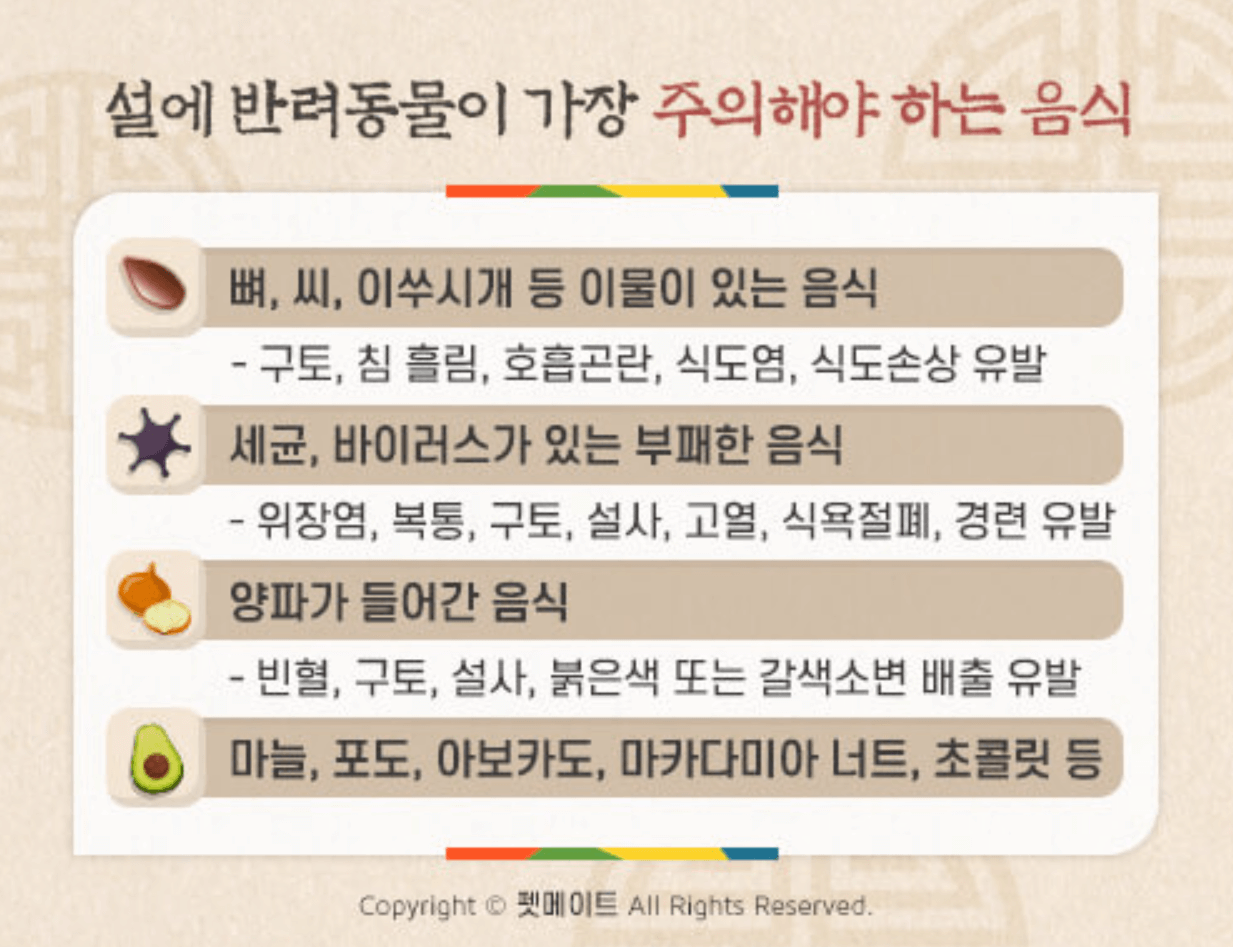 명절 공휴일 연휴기간 진료하는 전국 동물병원 찾기