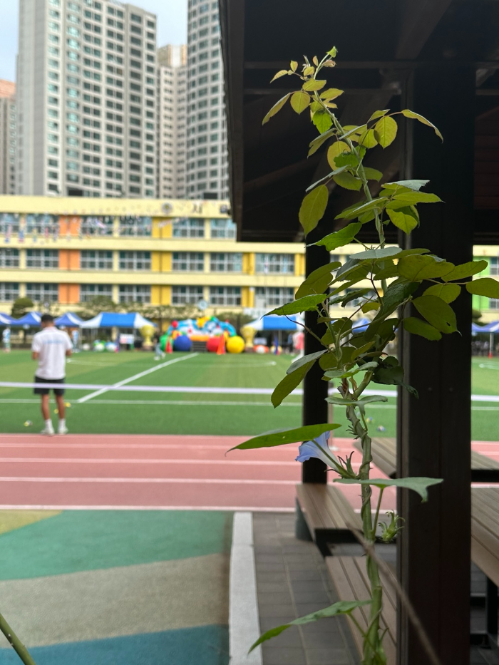 한국·미국 초등 참관수업, 요즘 어떻게 다를까?