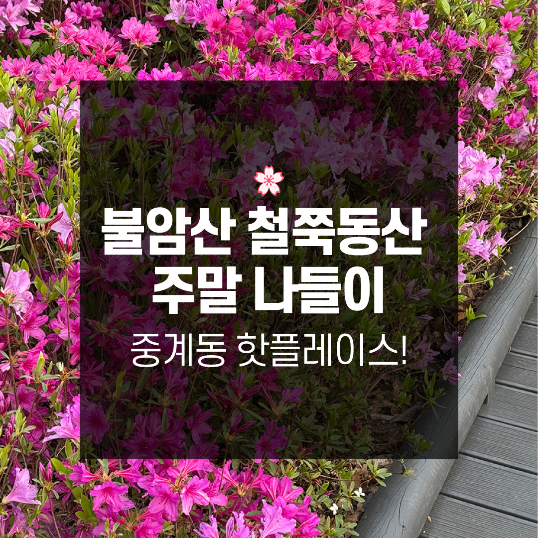 중계동 핫플레이스! 불암산 철쭉동산 주말 나들이 솔직 후기