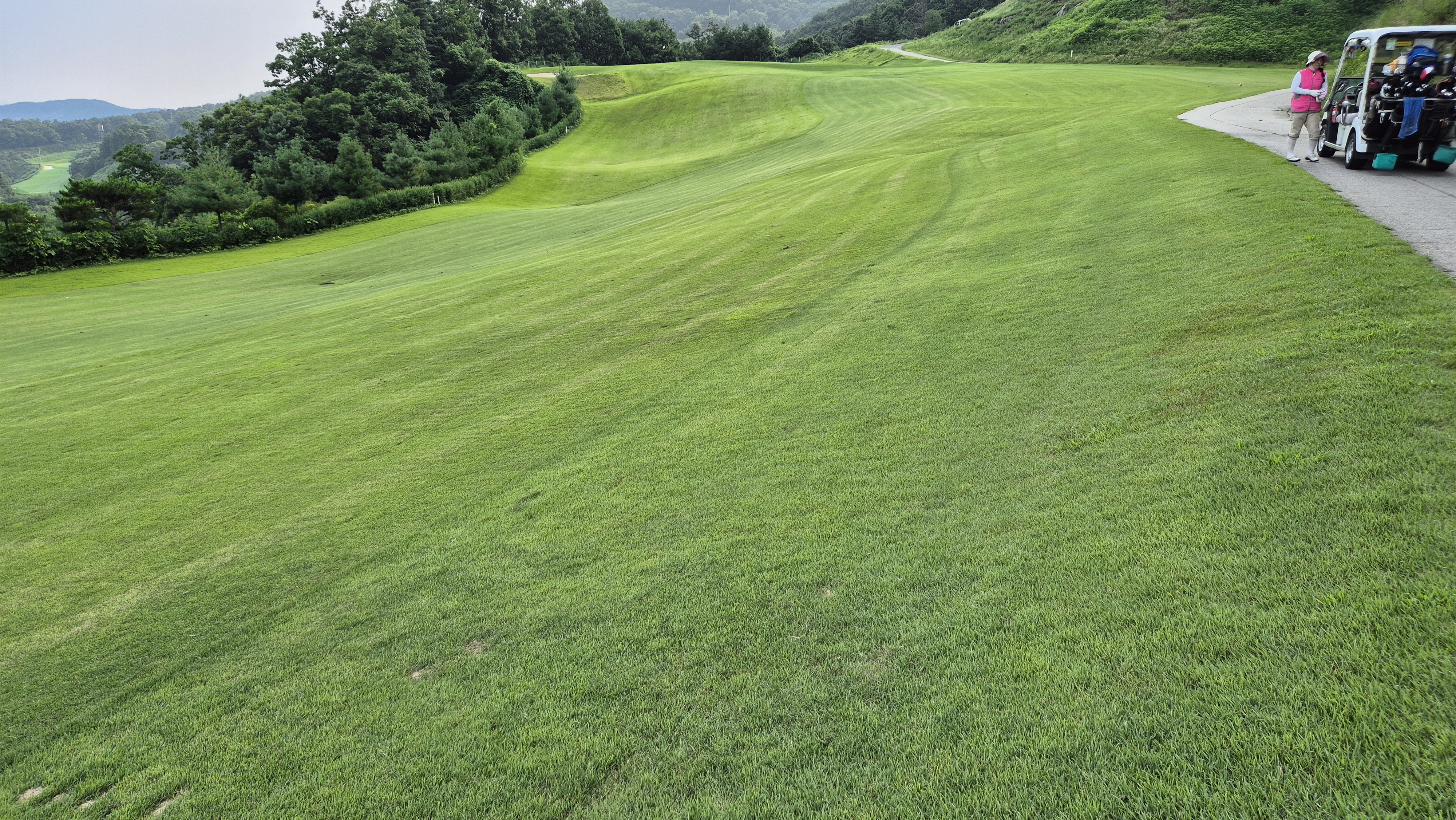 참밸리cc 라운드 후기