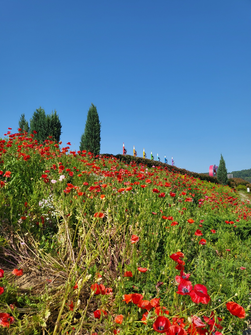  함안가볼만한곳 악양 뚝방길