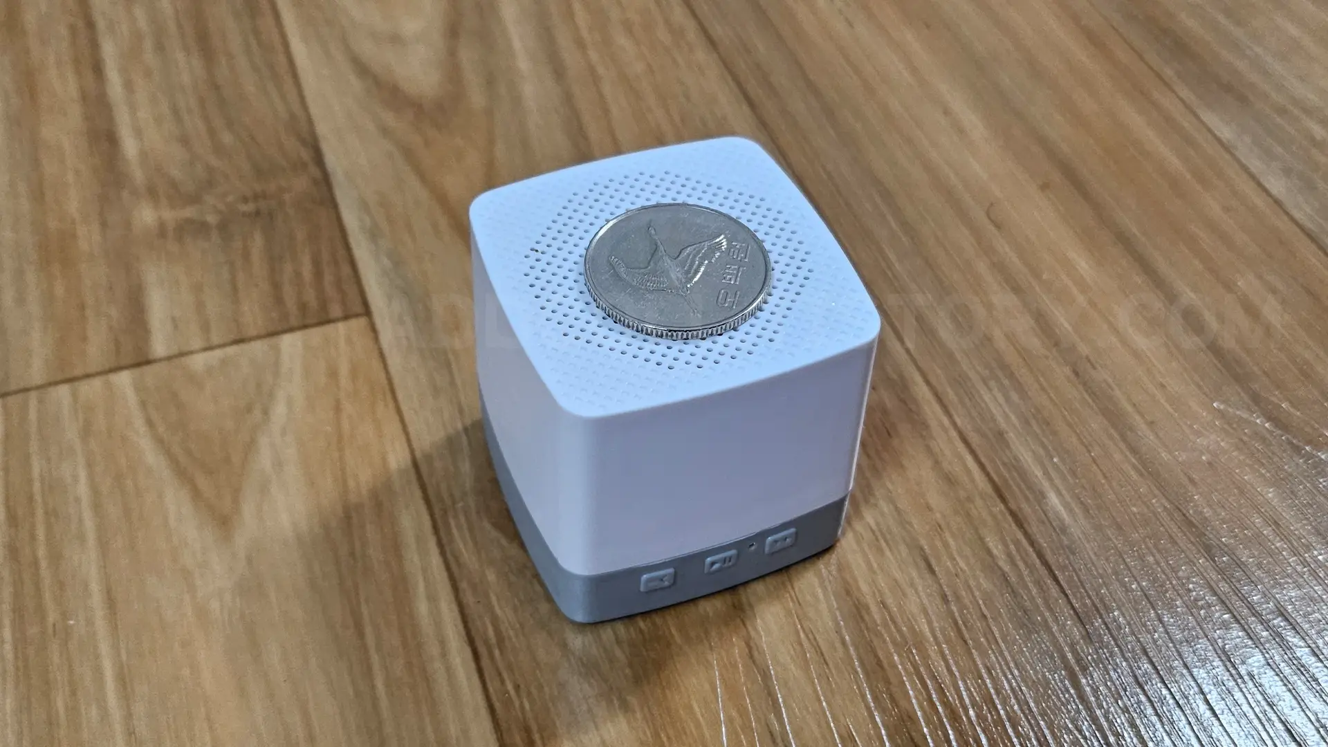 오백원짜리 동전과 비교