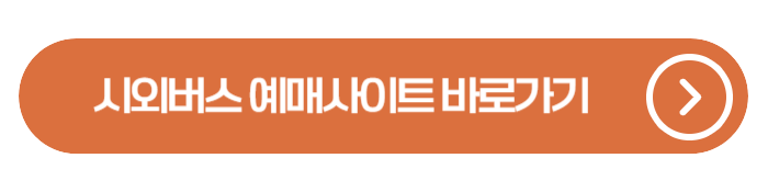 서울&harr;부산 최적 이동 방법 총정리(LCC vs KTX vs 버스)