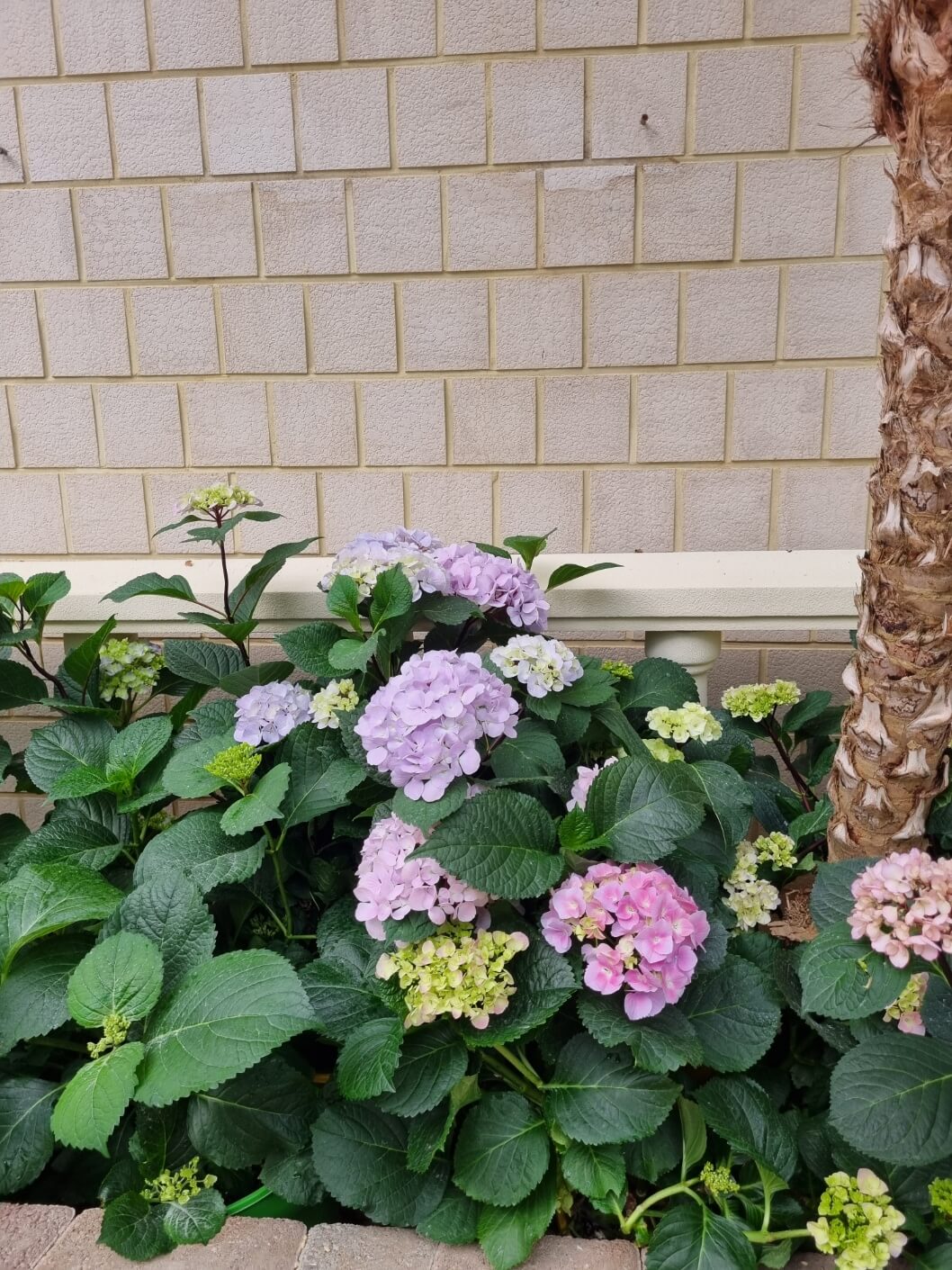 서울식물원 입장료