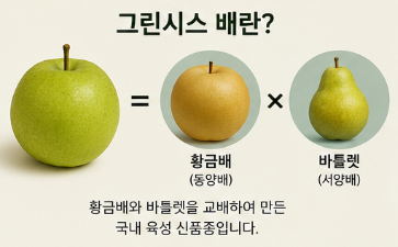 그린시스 배 정체는? 전참시 이영자 초록배 가격&middot;구매처 총정리3