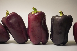 동의보감으로 보는 아이 감기 예방법! 10세 이하 감기 안 걸리는 몸 만들기