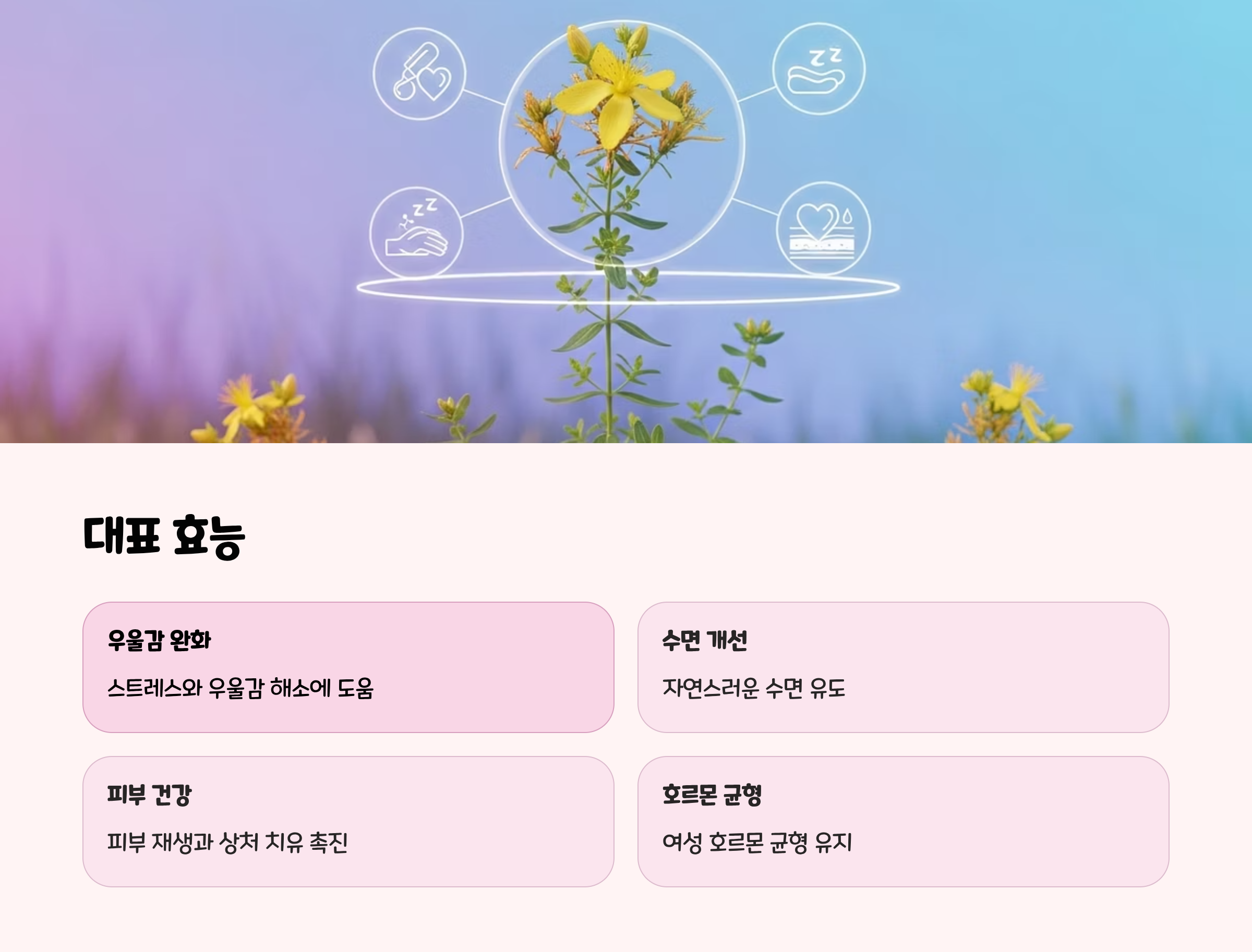 세인트 존스 워트의 대표 효능
