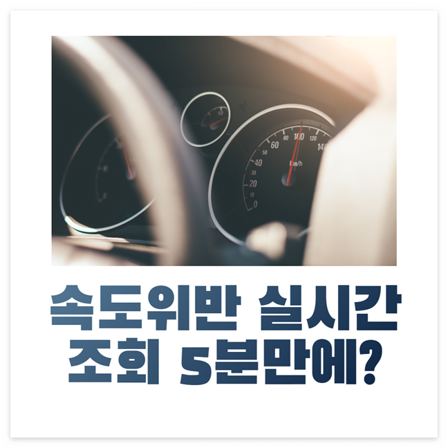 속도위반 실시간 조회