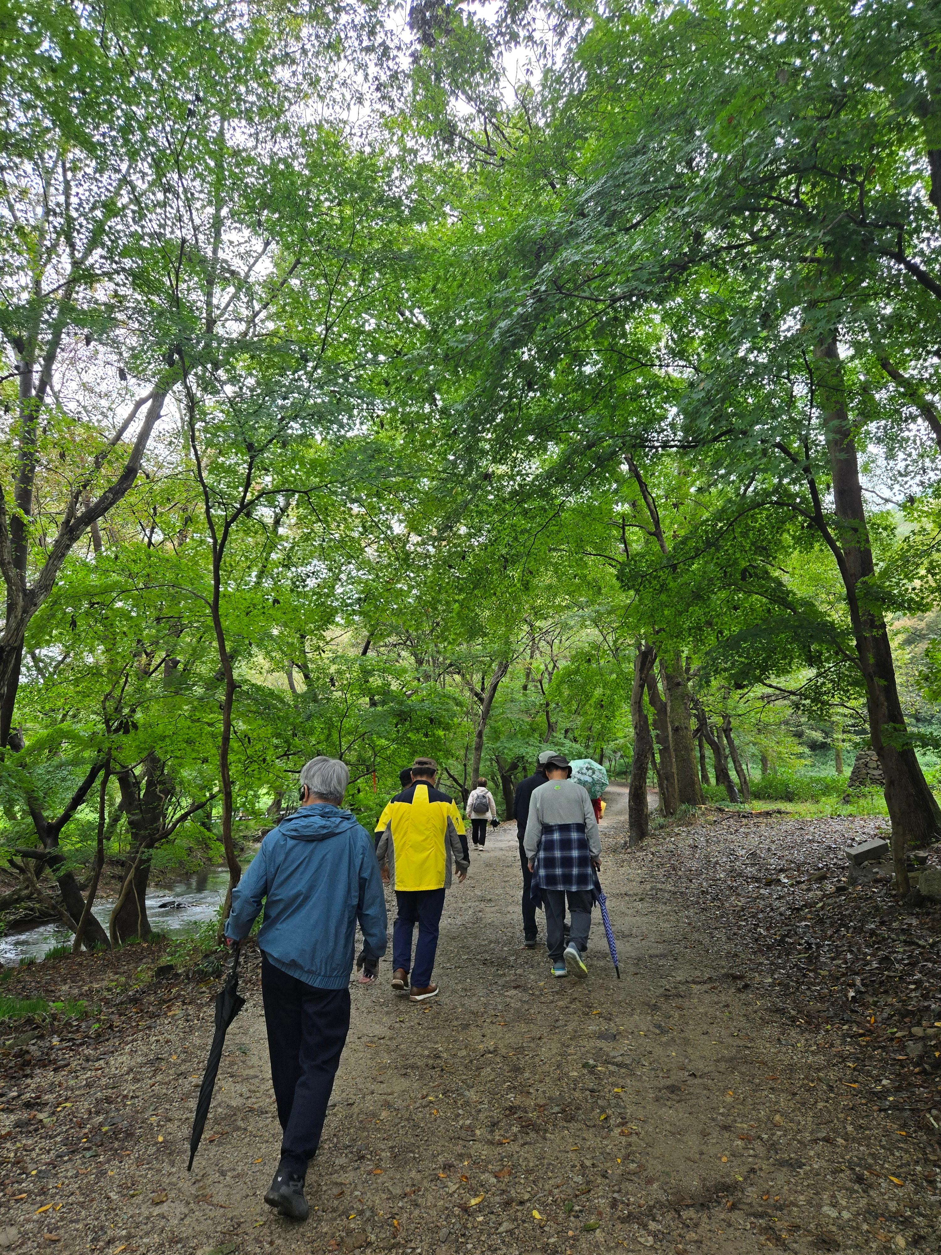 선운사까지의 길 — 고요가 서서히 몸에 번지는 시간