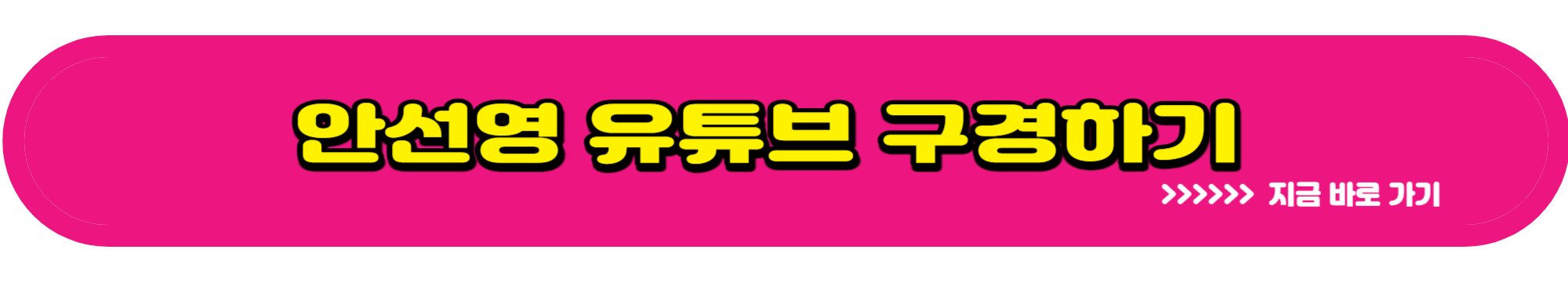 안선영 사업 완판녀 건물주 프로필 남편