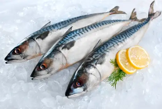 저혈압 증상과 원인&amp;#44; 저혈압에 좋은 영양제