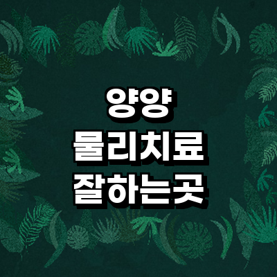 양양군 정형외과