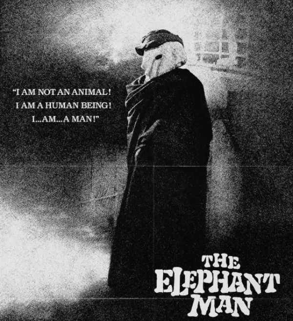 데이비드 린치 별세