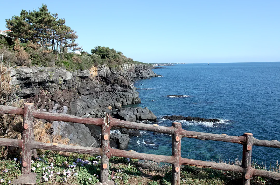 제주 올레길 5코스 남원 - 쇠소깍 올레 초보자를 위한 완벽 가이드