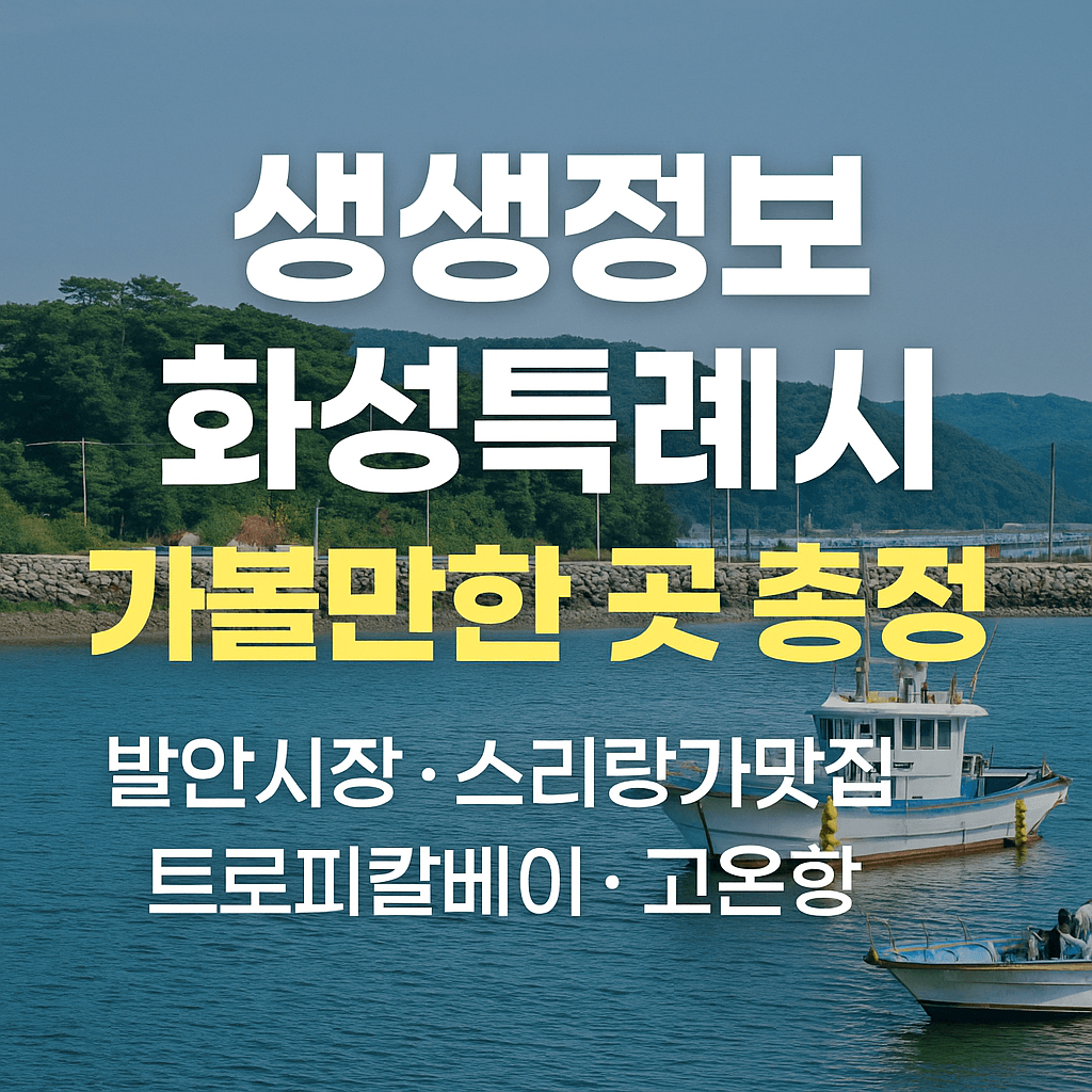 생생정보 2307회 미스터 Lee의 사진 한 컷 440번째 미션 경기도 화성특례시 스리랑카 전통 음식 맛집 아닐사레스토랑 화성여행 가볼만한 곳 