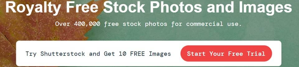 무료 이미지 다운로드