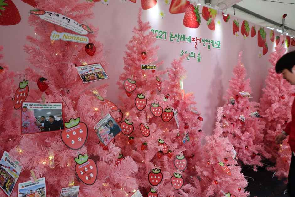 논산딸기축제 완벽 가이드｜일정&middot;주차&middot;체험&middot;아이동반 팁 총정리