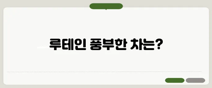 눈에 좋은 차 루테인이 풍부한 차 종류