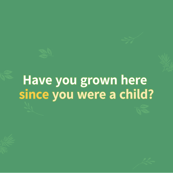 Have you grown here since you were a child?
어렸을 때부터 여기에서 자랐어요?
이 예문에서 종속절은
since 이하가 해당하는데요.
여기에서 자랐는데 언제부터
그러하였는지를 설명해주죠.
그러므로 앞의 주절을 수식하는
부사의 역할을 하고
있다는 것을 알 수 있어요.