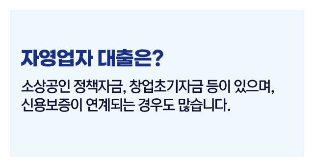 대출정부지원총정리-이미지4
