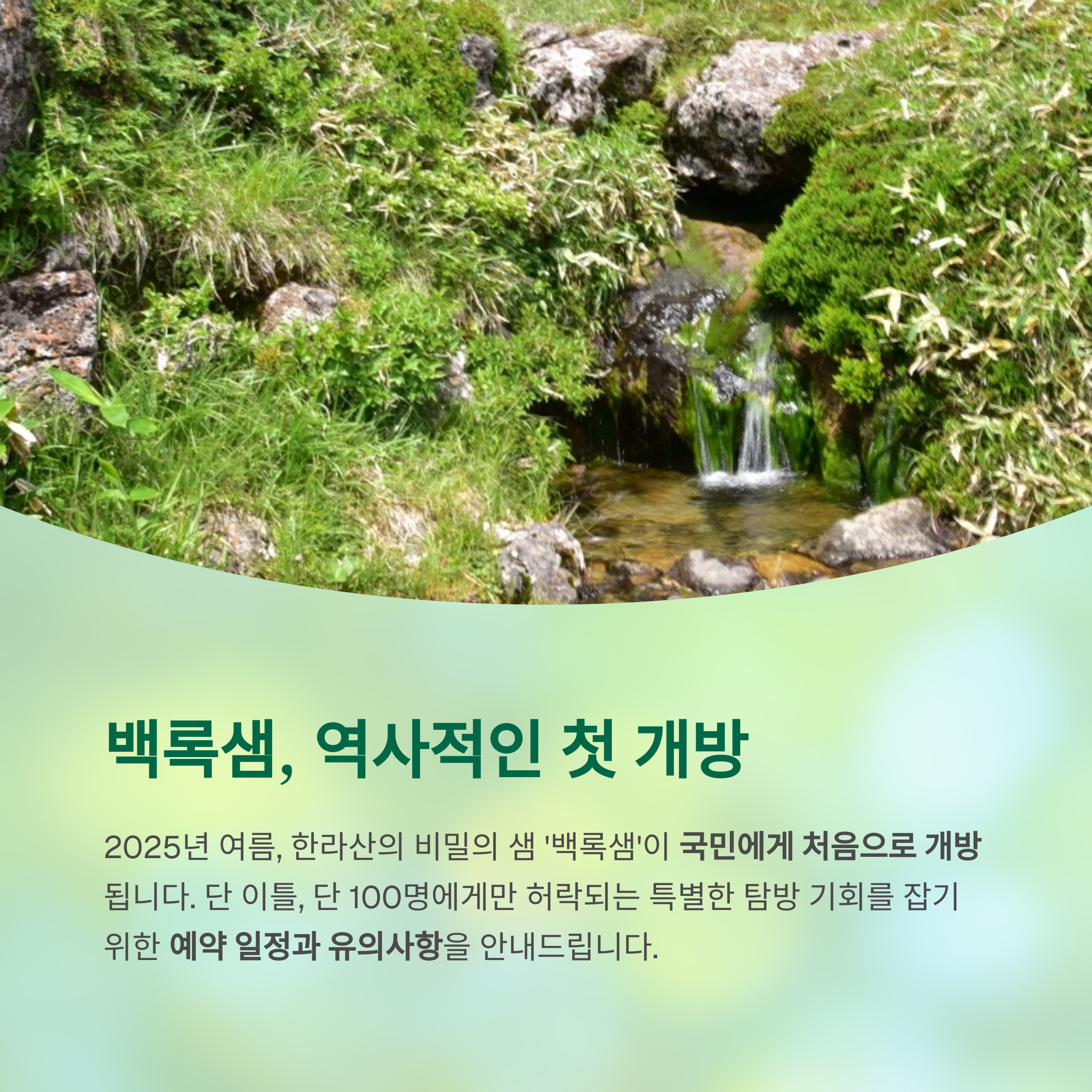 백록샘 역사적인 첫개방
