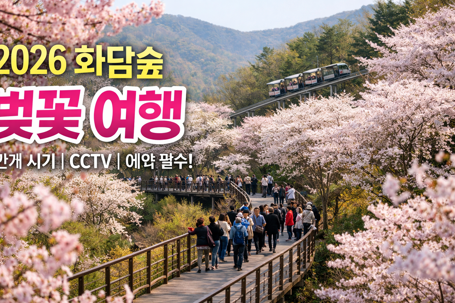 2026 화담숲 벚꽃 개화시기 총정리 만개 절정&middot;실시간 CCTV&middot;예약 꿀팁