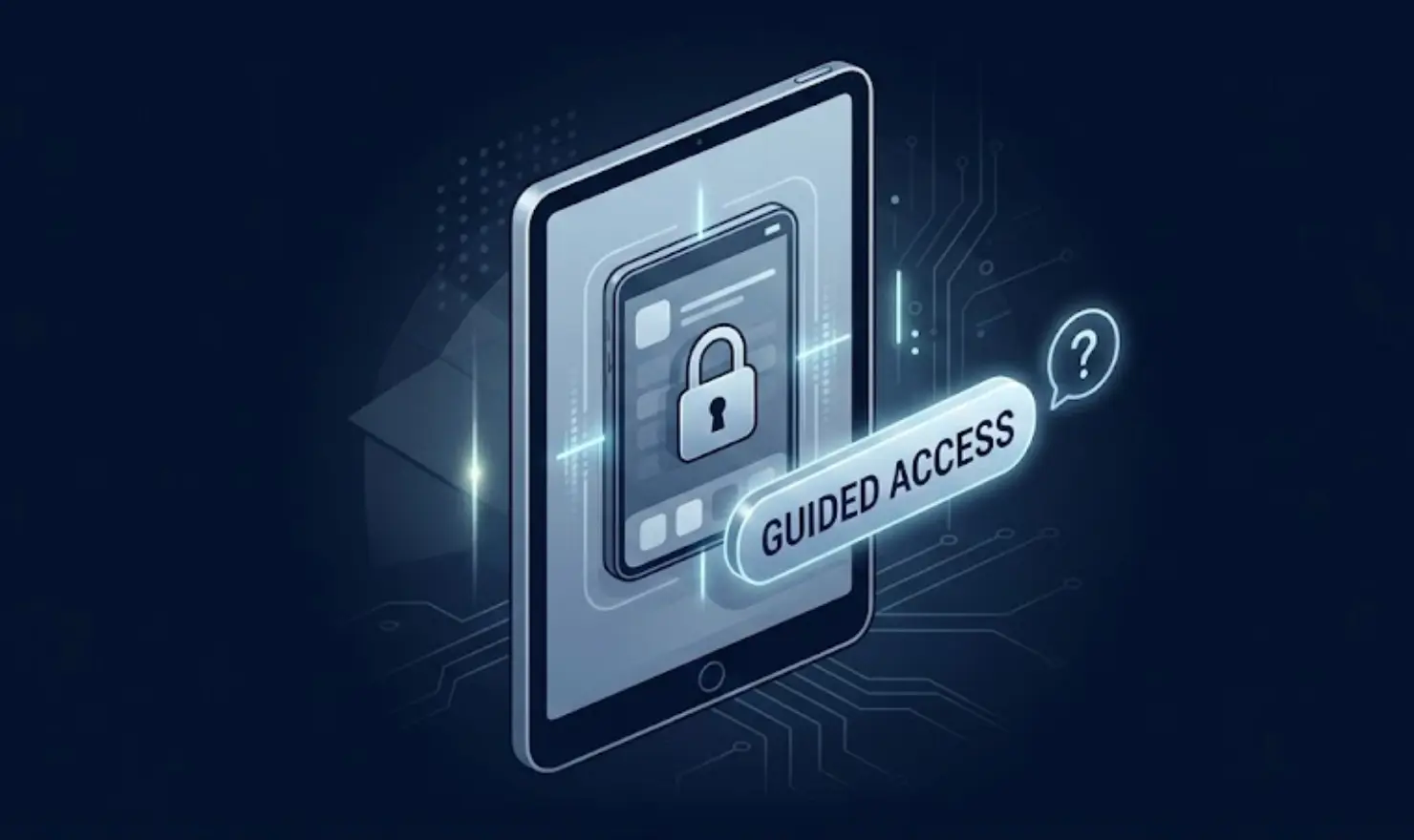 아이패드 유도 접근 기능 설명 및 오류 원인