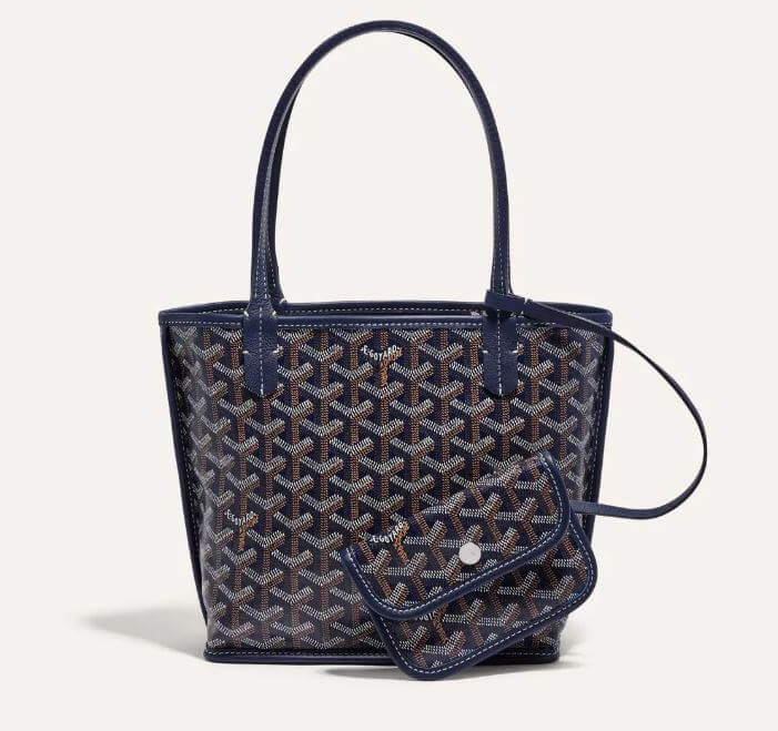 고야드 앙주미니