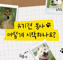 카카오톡 pc 버전 다운로드